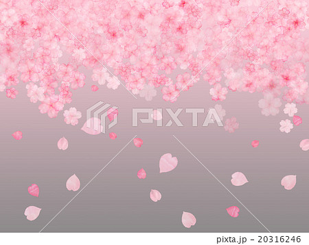 動物画像無料 最新夜桜 桜 イラスト 和風