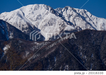 農鳥岳。夜叉神峠より。3月。 20316330