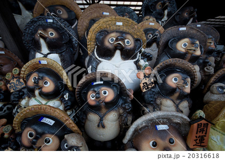 信楽たぬき 信楽たぬき 20316618