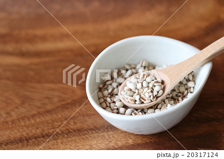 はと麦 はと麦 20317124