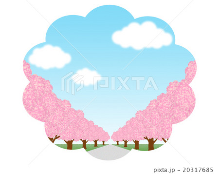 桜並木 20317685