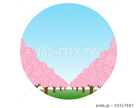 桜並木 20317687