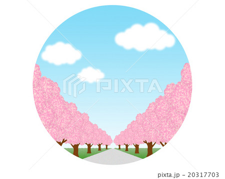 桜並木 20317703