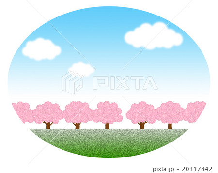桜並木 20317842