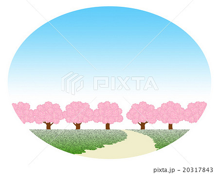 桜並木 20317843
