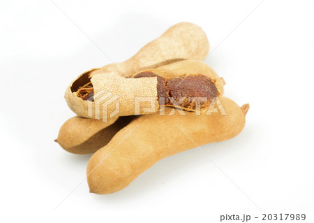Tamarind on white 20317989