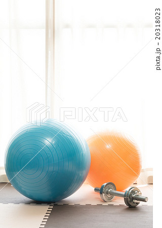 バランスボールとダンベル バランスボールとダンベル 20318023
