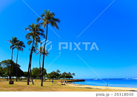 ビーチで幸せ 20318030