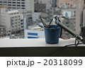 窓清掃　道具 20318099