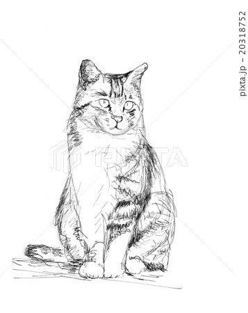猫 イラストのイラスト素材 [20318752] - PIXTA