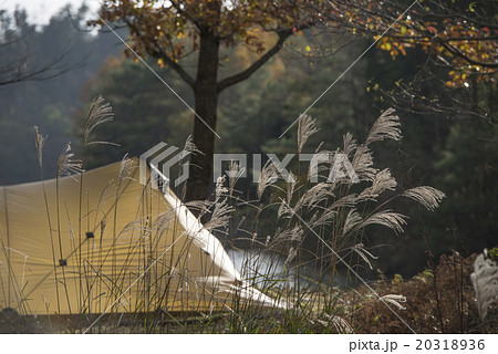 湖畔でキャンプ 20318936