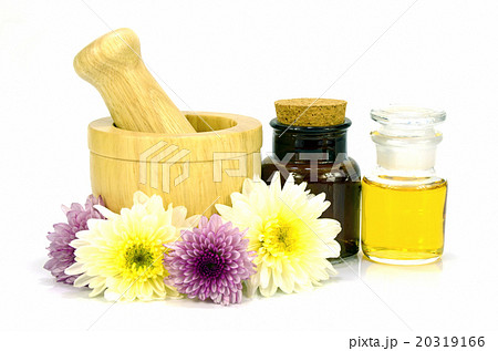 Natiral Products Concept. 20319166