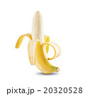 Fresh Banana Fruit On White Background 20320528