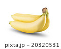 Fresh Banana Fruit On White Background 20320531