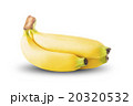 Fresh Banana Fruit On White Background 20320532