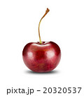 Fresh Cherry On White Background 20320537