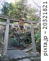 赤坂氷川神社 20321821