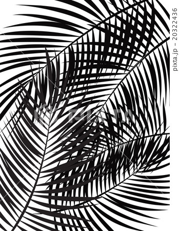 Palm Leaf Vector Background Illustration Palm Leaf Vector Background Illustration 20322436