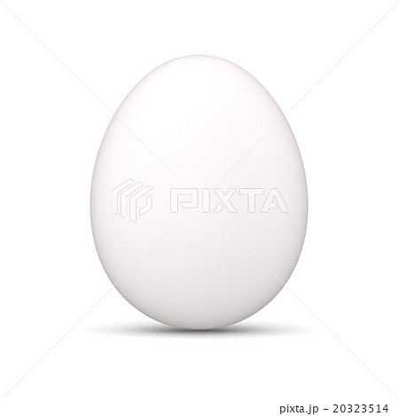 白のたまご 卵のイラスト素材
