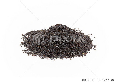ポピーシード: poppy seed ポピーシード: poppy seed 20324430
