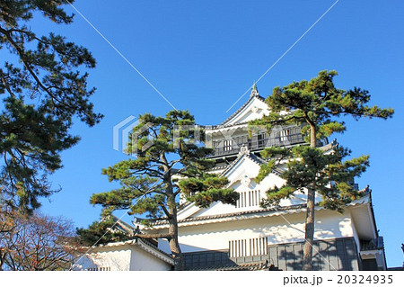 青空の岡崎城 青空の岡崎城 20324935