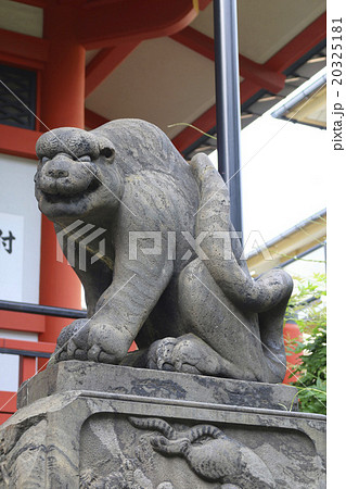 善國寺の石虎 20325181