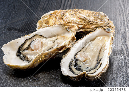牡蛎 20325478