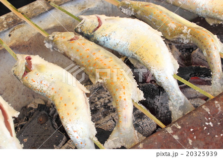 あまご塩焼き 20325939