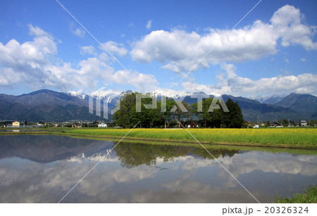 安曇野から望む北アルプス 20326324