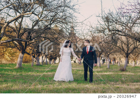 wonderful wedding day wonderful wedding day 20326947