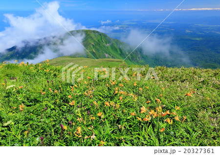 鳥海山・御浜付近のニッコウキスゲと日本海 鳥海山・御浜付近のニッコウキスゲと日本海 20327361