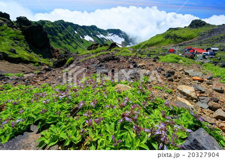 鳥海山山頂付近から千蛇谷方面を望む 鳥海山山頂付近から千蛇谷方面を望む 20327904