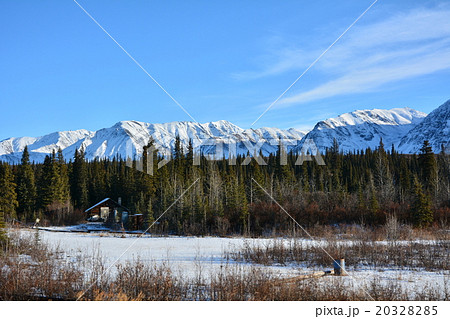 アラスカ鉄道からの風景　アメリカ合衆国 20328285