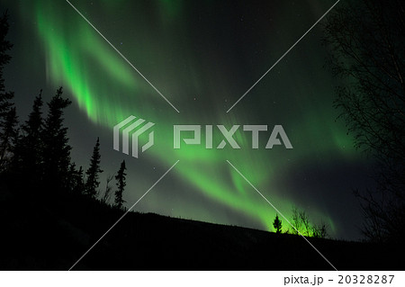 オーロラ　チナ温泉リゾート　アラスカ 20328287