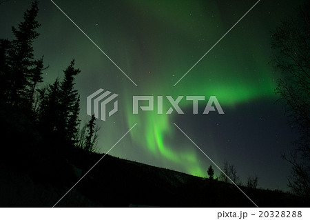 オーロラ　チナ温泉リゾート　アラスカ 20328288