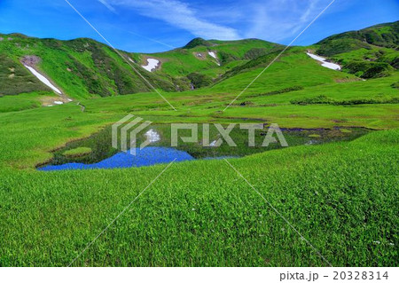 鳥海山・千畳ヶ原の池塘 鳥海山・千畳ヶ原の池塘 20328314