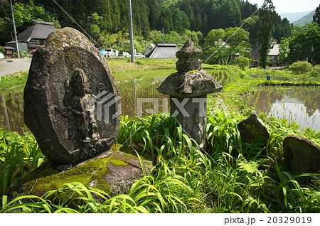 新緑に包まれる青鬼の里 新緑に包まれる青鬼の里 20329019