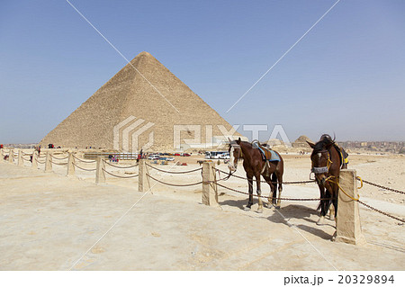 ピラミッドと馬 20329894