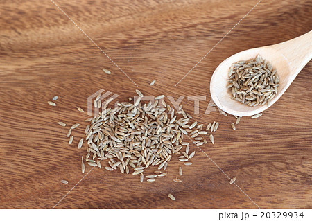 クミン クミン 20329934