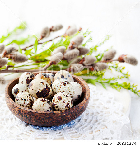 Quail eggs Easter background Willow Copy space 20331274