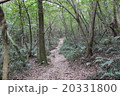 登山道 20331800