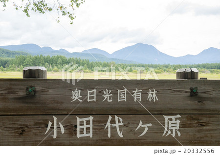 小田代ヶ原（栃木県日光市の風景） 20332556