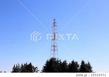 高圧電線と樹木 高圧電線と樹木 20333471