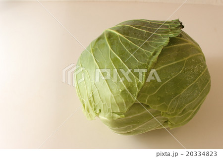新鮮なキャベツ 新鮮なキャベツ 20334823