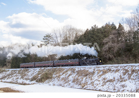 雪のC11-01 雪のC11-01 20335088