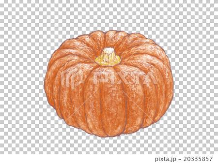 Kikuza南瓜 20335857