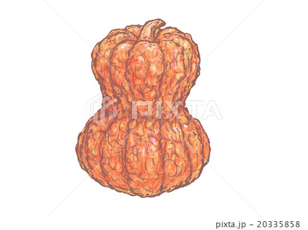 鹿ケ谷かぼちゃ 鹿ケ谷かぼちゃ 20335858