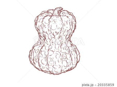 鹿ケ谷かぼちゃ(線画) 鹿ケ谷かぼちゃ(線画) 20335859