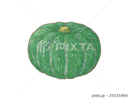 黒皮栗かぼちゃ 20335860