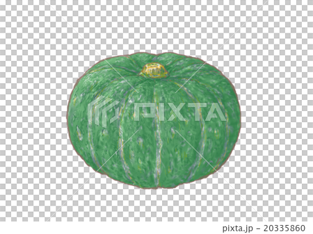 黒皮栗かぼちゃ 20335860